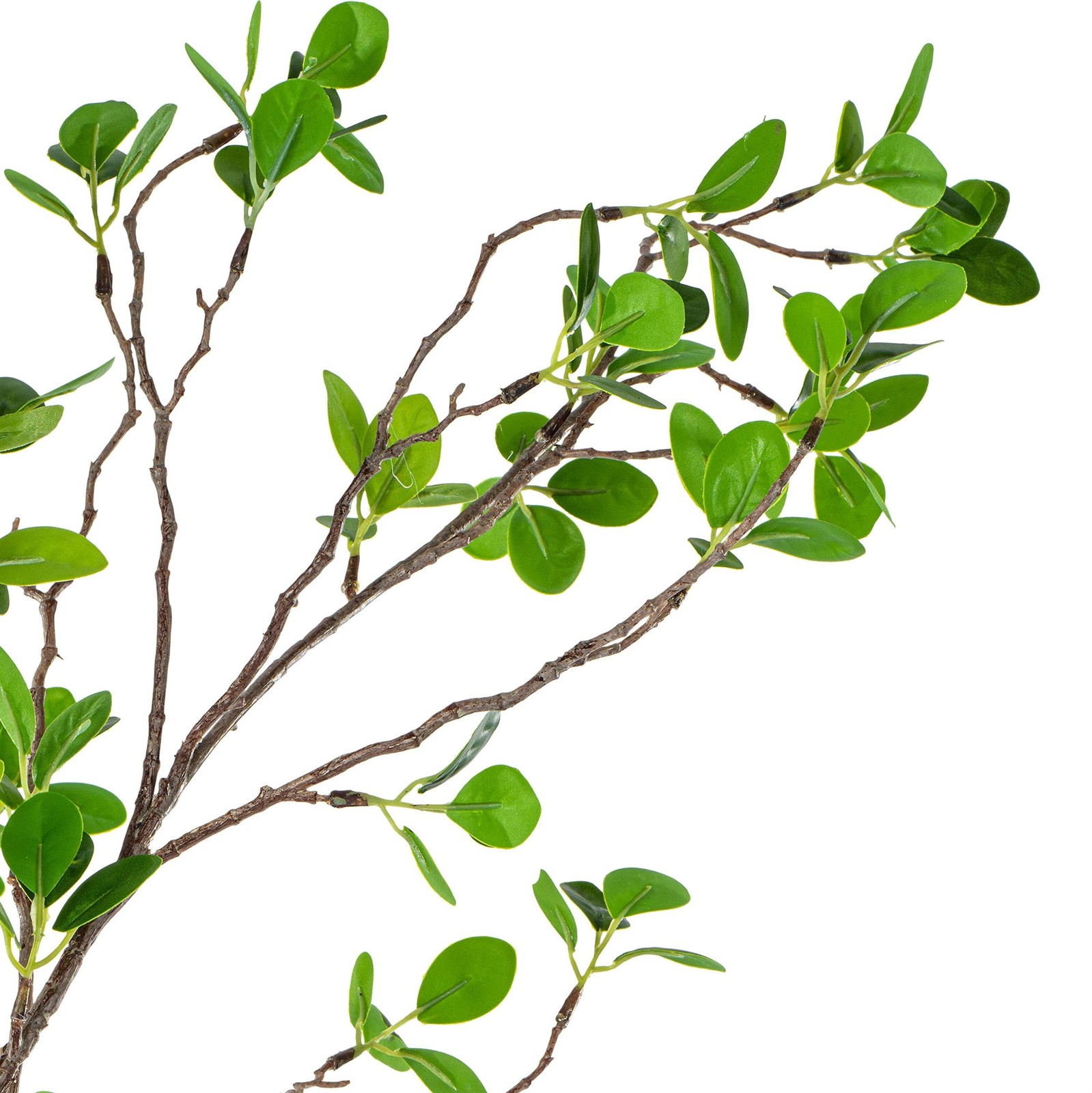 Pemberly Row 72″ Artificial Milan Leaf Tree in Black Planters Pot