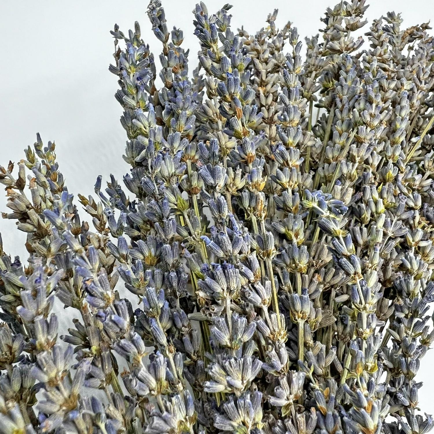 Preserved Decorative Real Dried Lavender Wreath – Purple