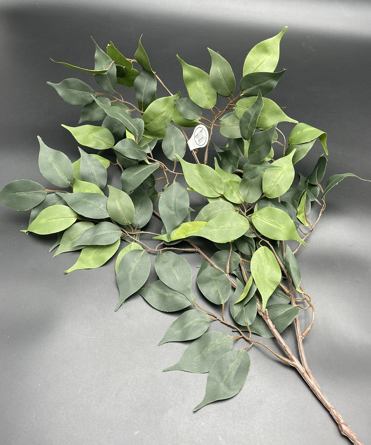 Ficus Branch Floral Stem Hobby Lobby 26″ x 15″ 738690
