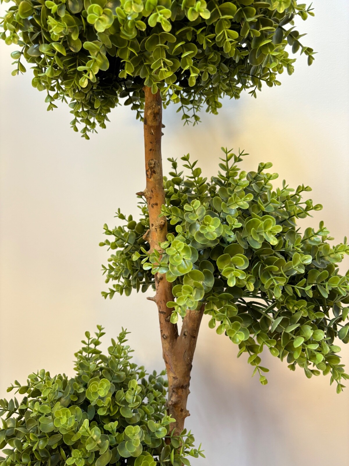 Wildwood & Cypress 57” 3-Ball Topiary Boxwood Tree Wood Trunk Outdoor Use Faux