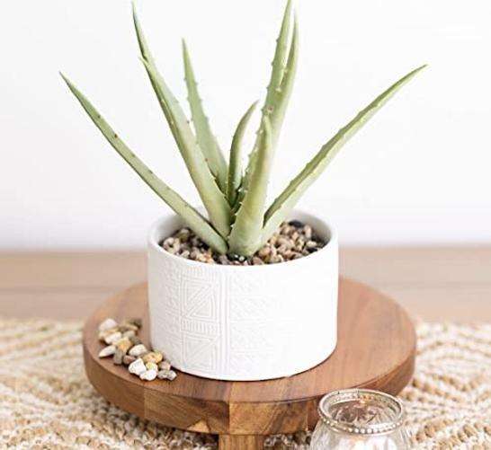 Artificial Plant in White Ceramic Pot | 10″ high sage Green Faux Agave Plant