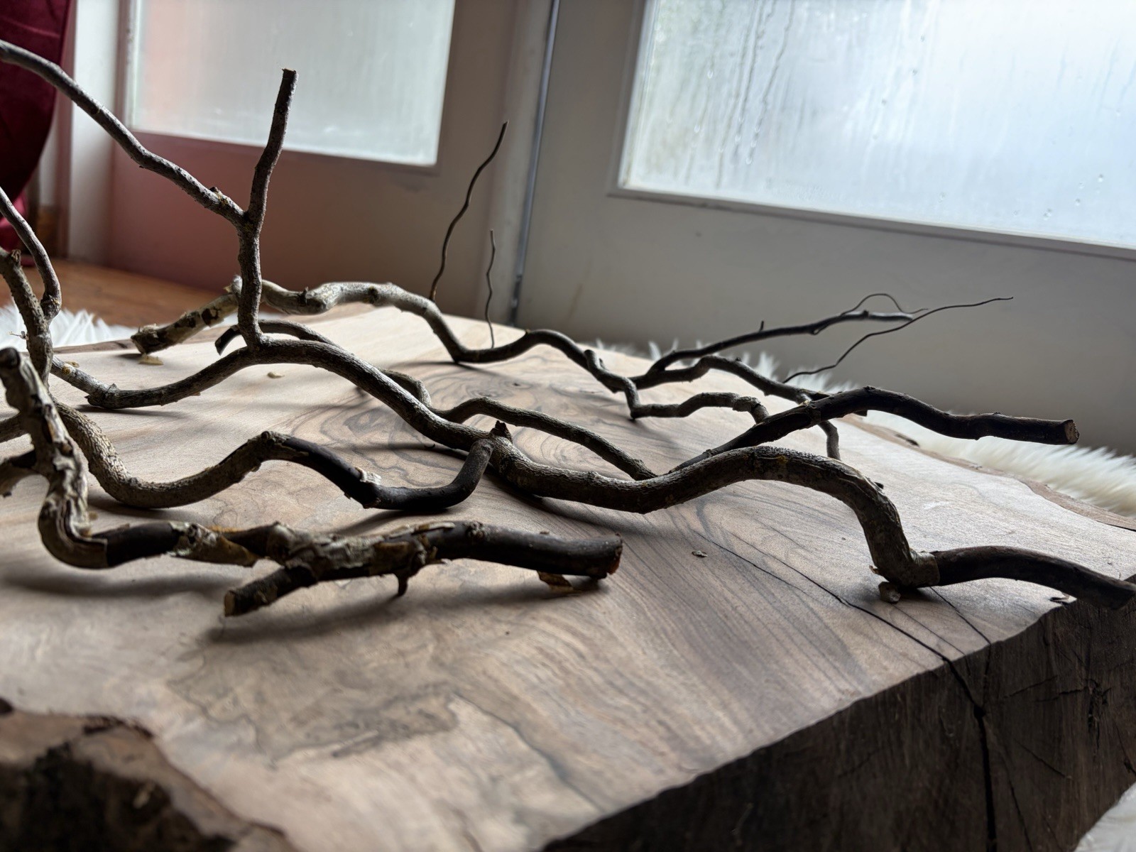 Dried Corkscrew Willow Branches for Home Decor