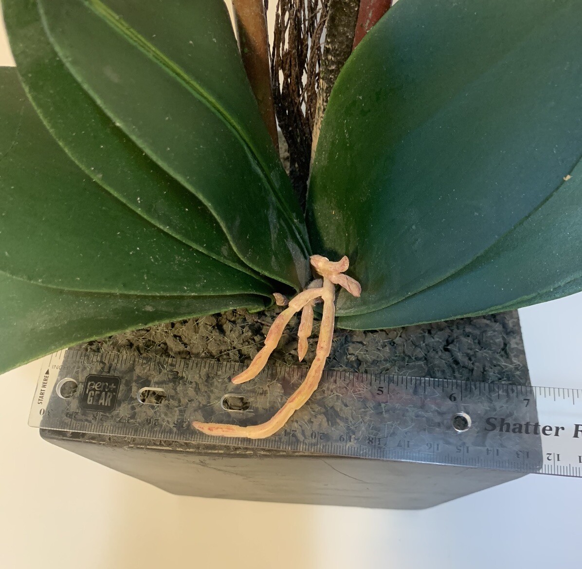 Artificial Red Orchid Planter