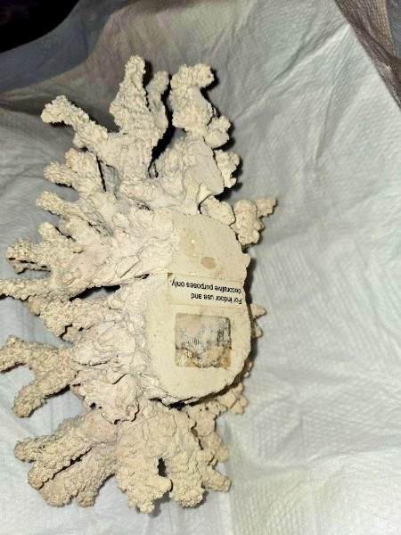 Large Faux Coral Decor Centerpiece – Heavy 4lb Cast Stone – Coastal Home Decor