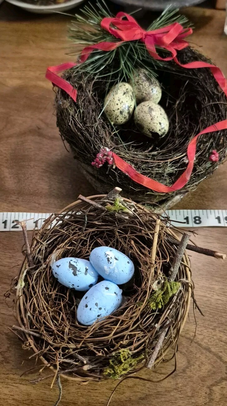 Lot Of 2 Bird Nest Nests With Eggs