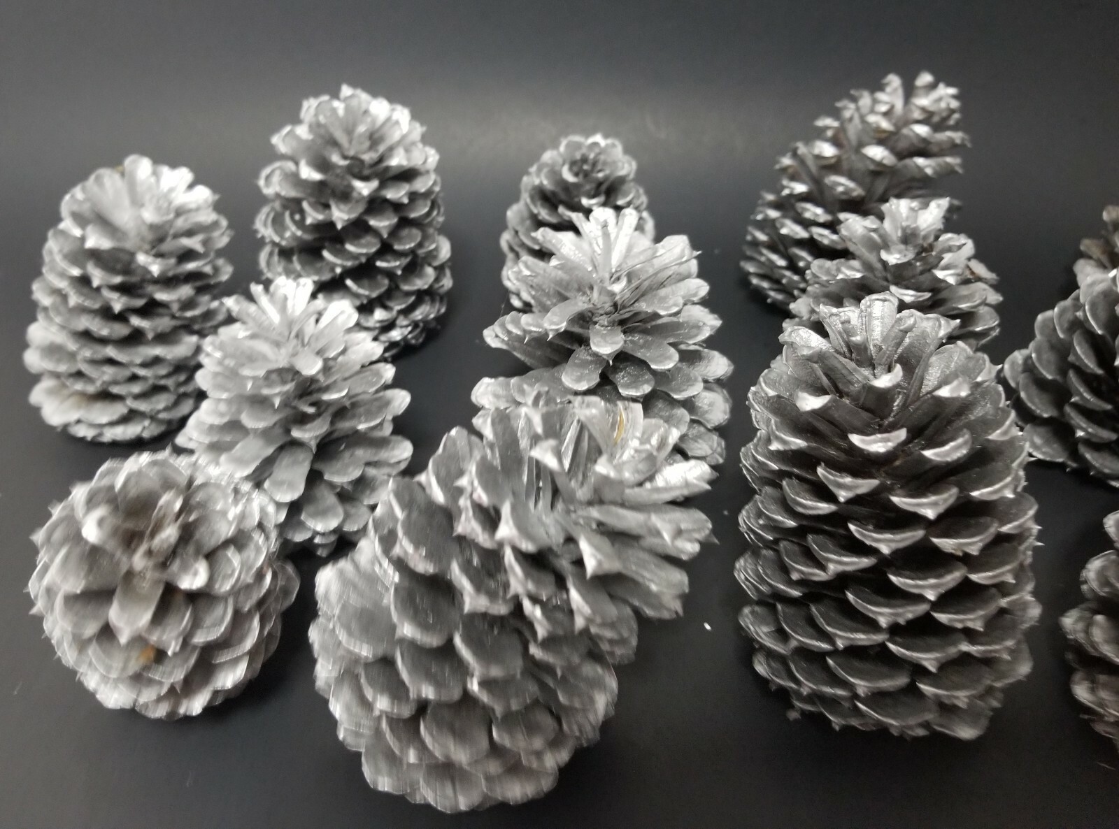 🎅15 Silver Pine Cones Hand Painted Natural Premium Ponderosa Cones