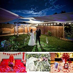 1000pcs Rose Petals Artificial Silk Flower Rose Petals for Wedding Decoration…