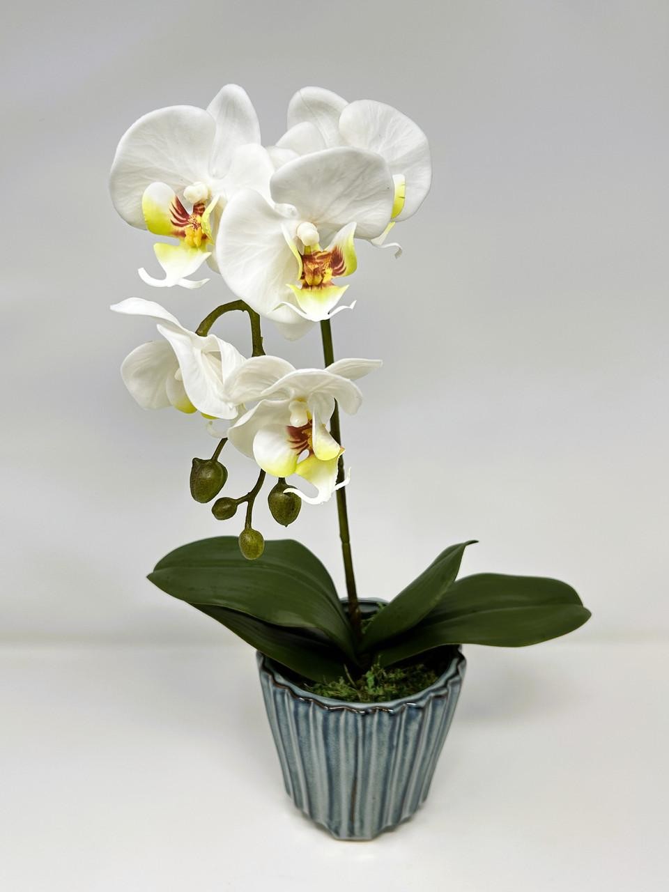 16″ Lg WHITE Phalaenopsis ORCHID silk flower planter, 4″ Blue ceramic footed pot