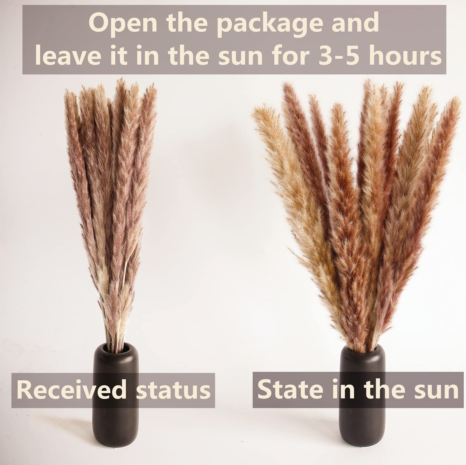 200 PCS Small Boho Pampas Grass, 17″ Naturally Dried Pompas, Pampas Grass Dec…