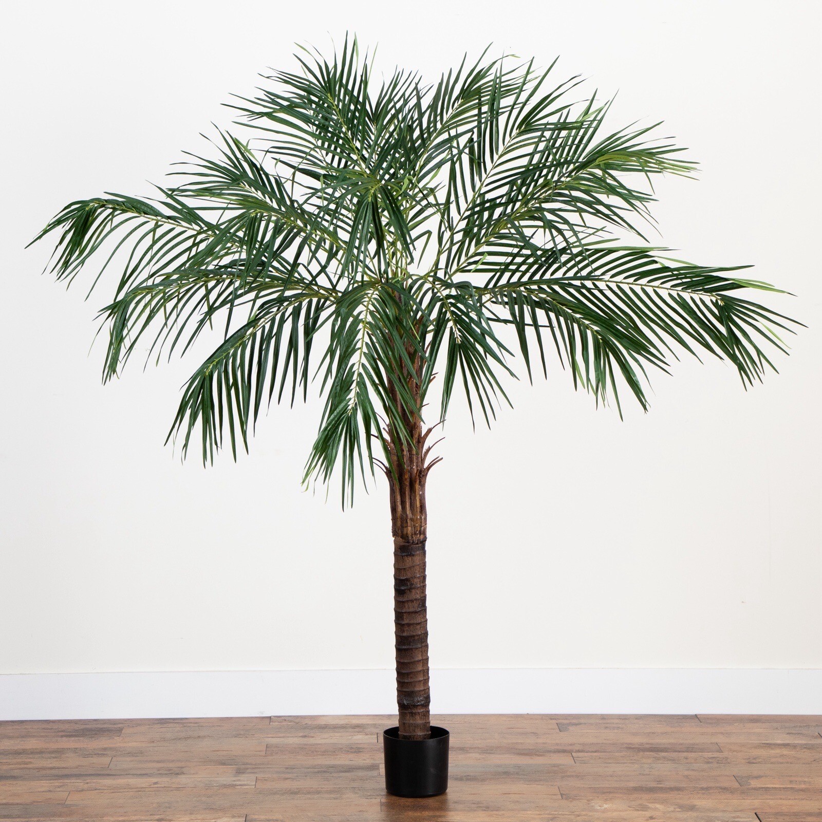 6′ Artificial Robellini Tropical Palm Tree Home Decor. Retail $279
