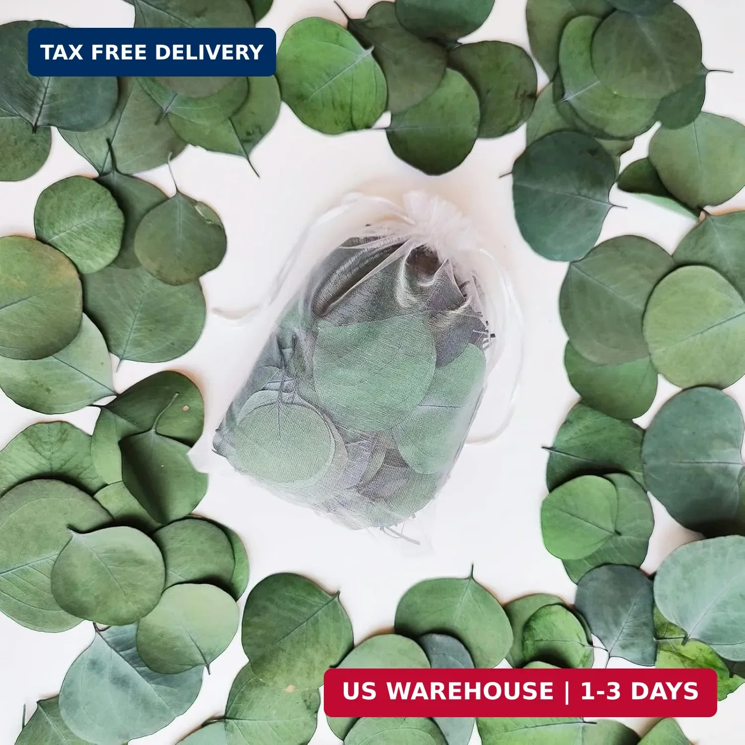 300+ Pcs Dried Real Eucalyptus Leaves,100% Natural Biodegradable Confetti for We