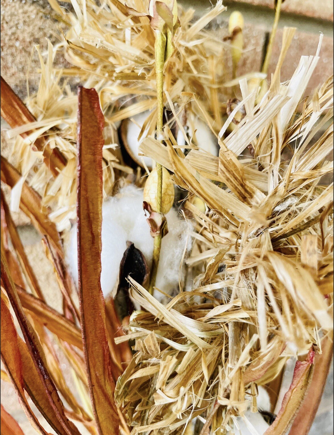 Cotton & Fall Grass Branch, 28” NEW Floral Arrangements Craft Supply