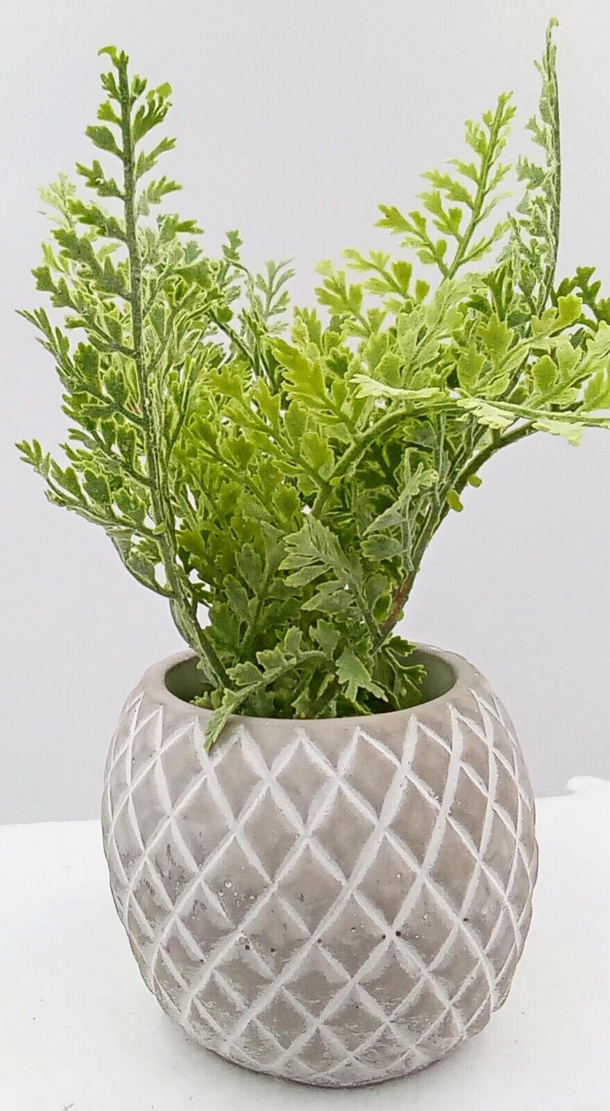 Fern Ceramic Pot Planter Diamond Pattern White Gray Tan Artificial Floral 10″