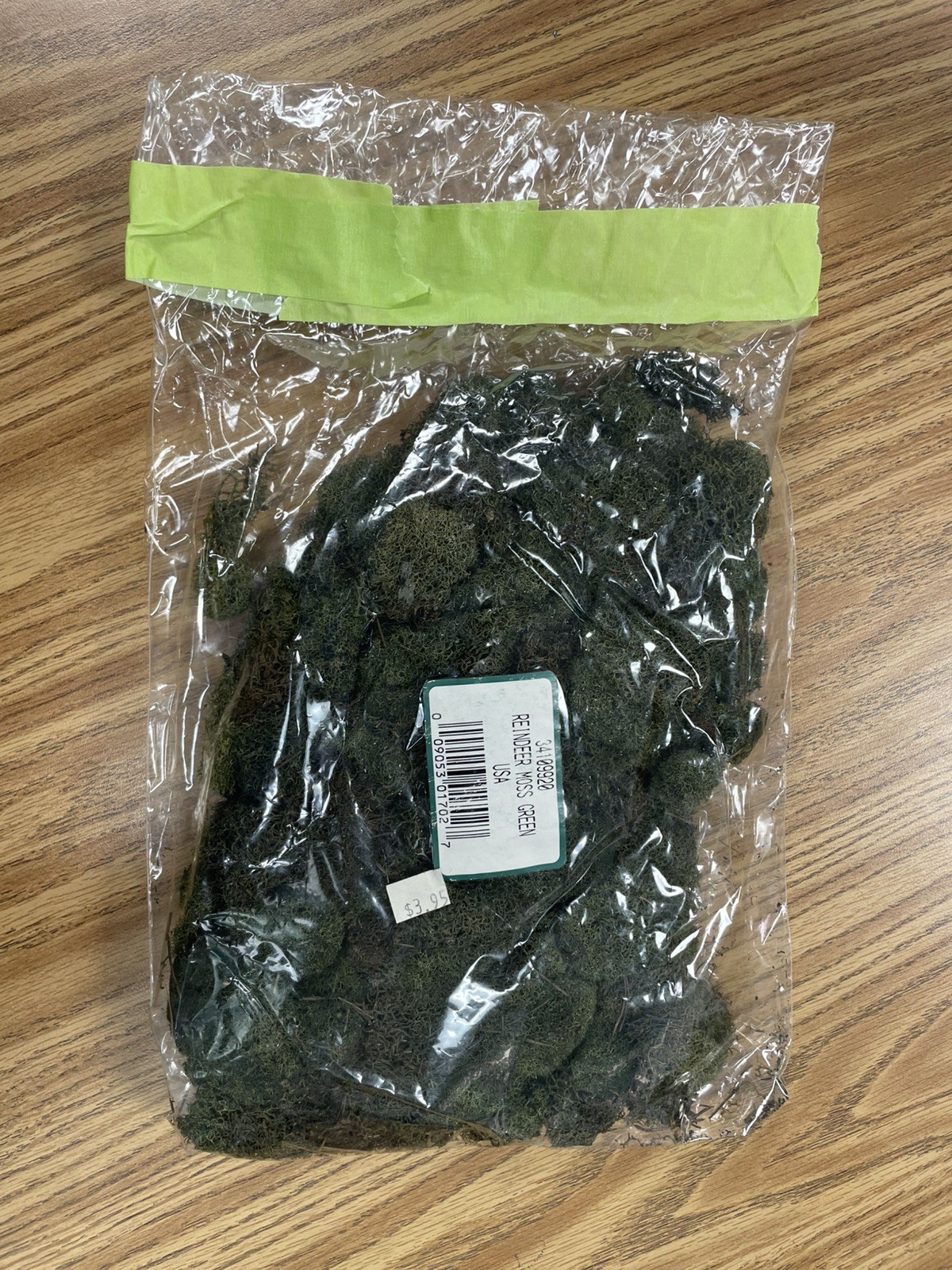 PRESERVED NATURAL REINDEER MOSS GREEN FOR CRAFTS VILLAGES & RAILROAD DISPLAYS