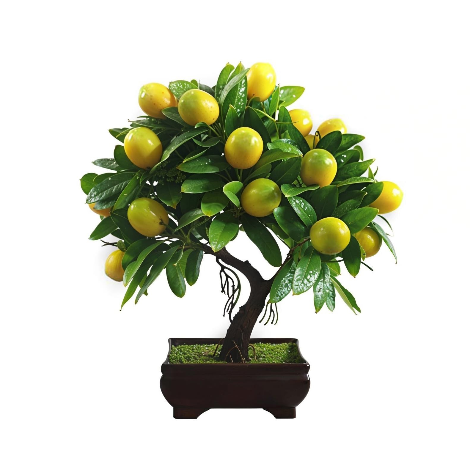 10″ Potted Artificial Plants Lemon Table Centerpieces Decoration