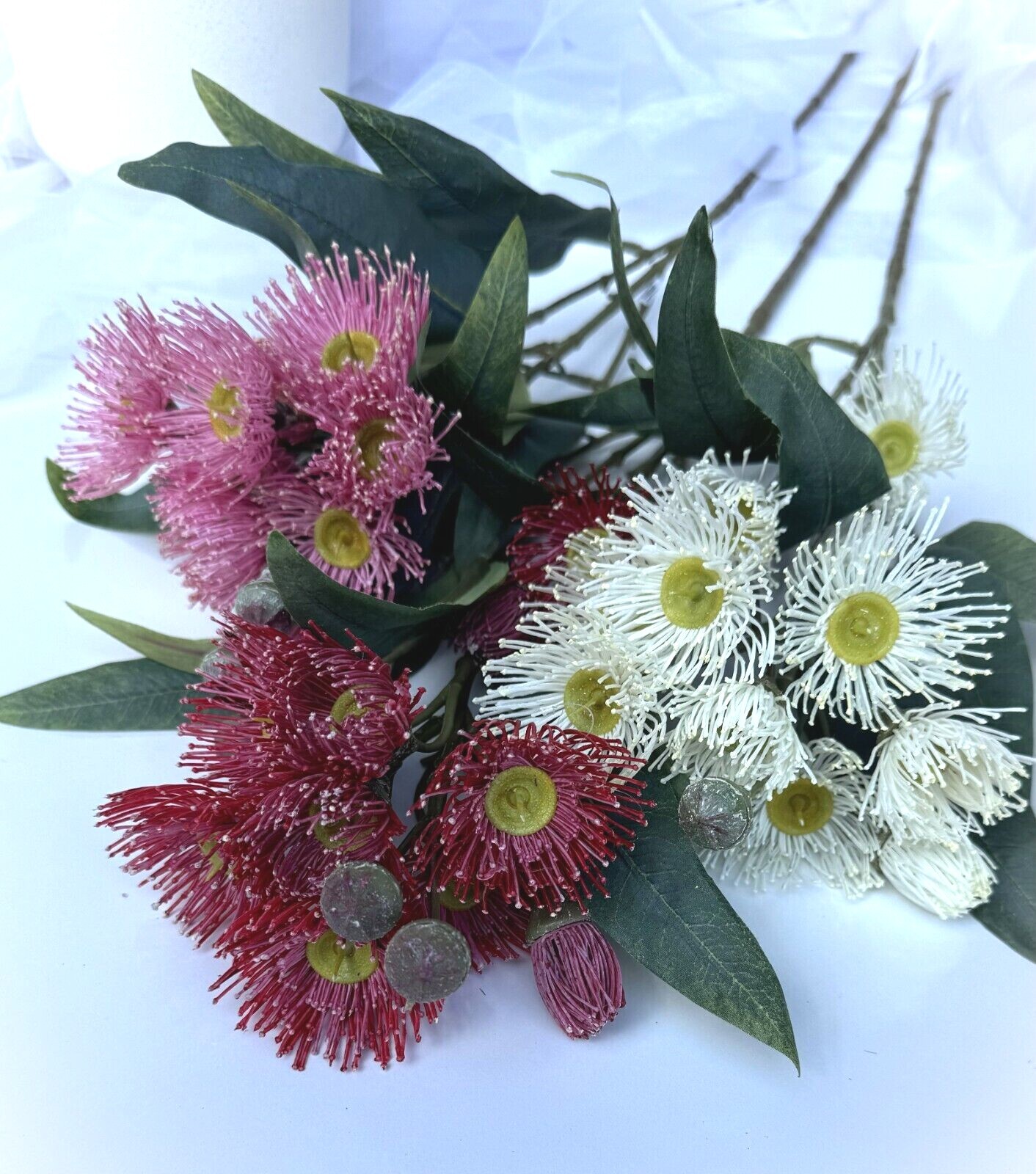 Australian Native Flower Gum Blossoms Stem Eucalyptus Pink Cream Red Blossoms x1