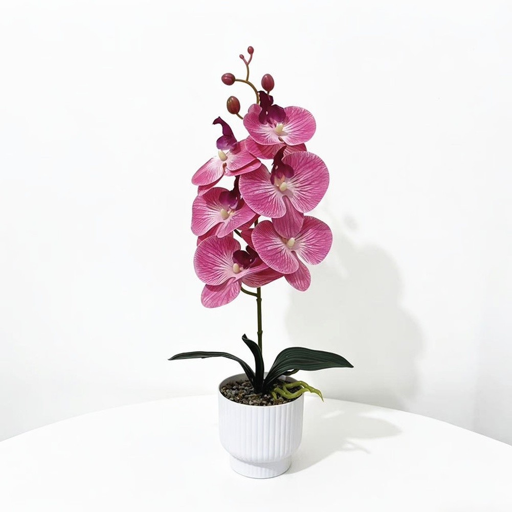42cm Phalaenopsis Orchid Fake Flower Plastic Stem with Natural Texture