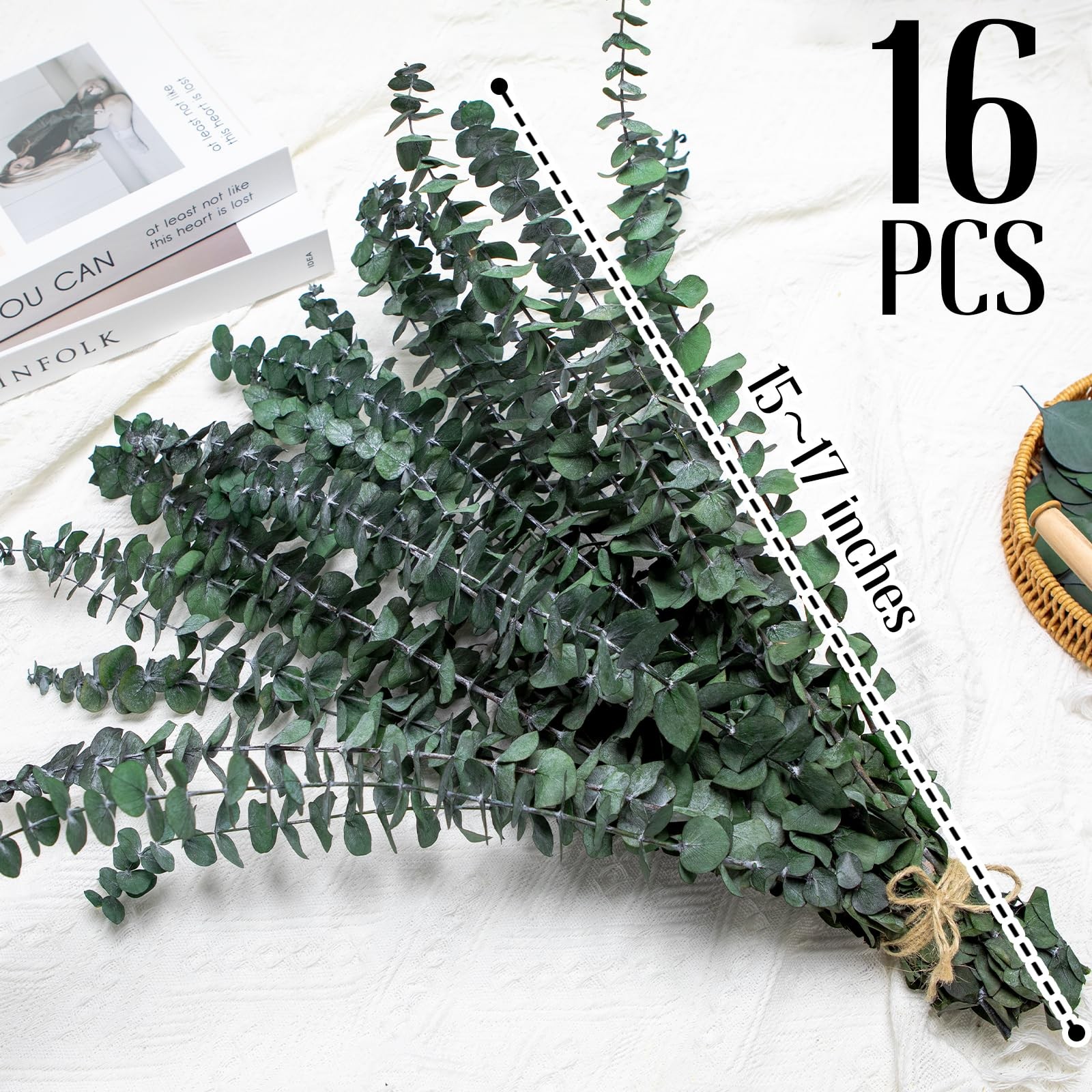 16PCS Preserved Eucalyptus Stems – 17″ Natural Dried Eucalyptus for Shower, A…