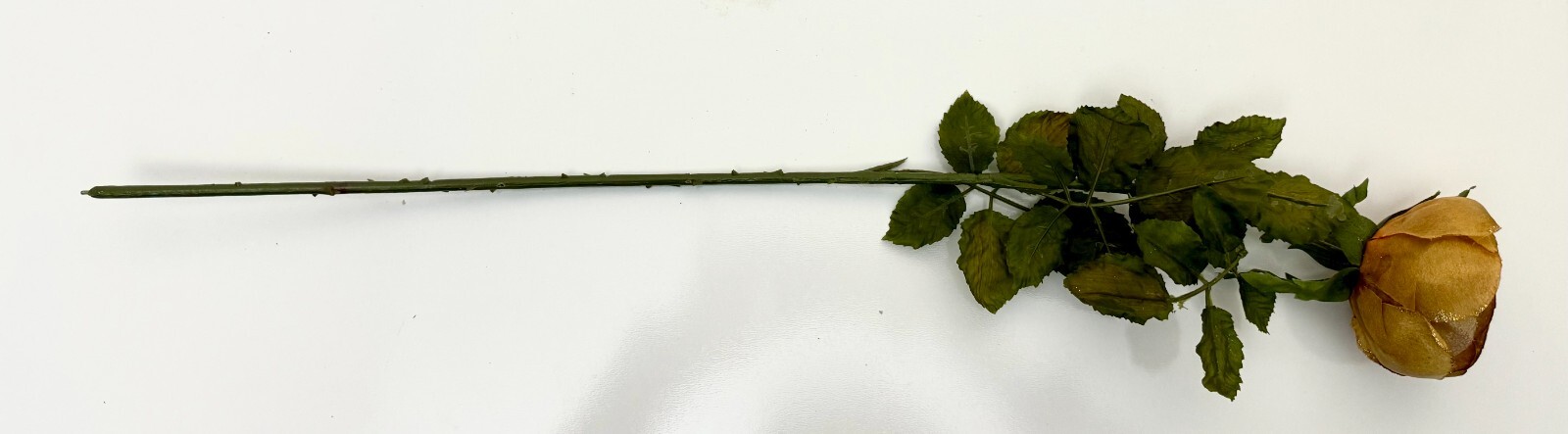 Box of 12 silk gold roses 30 inches in length