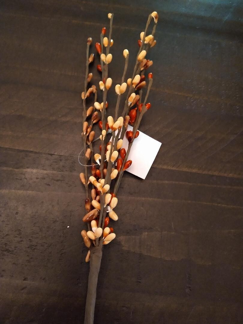 Pip Berry Pumpkin Spcie Mix 12″ Stem ~ Home Decor