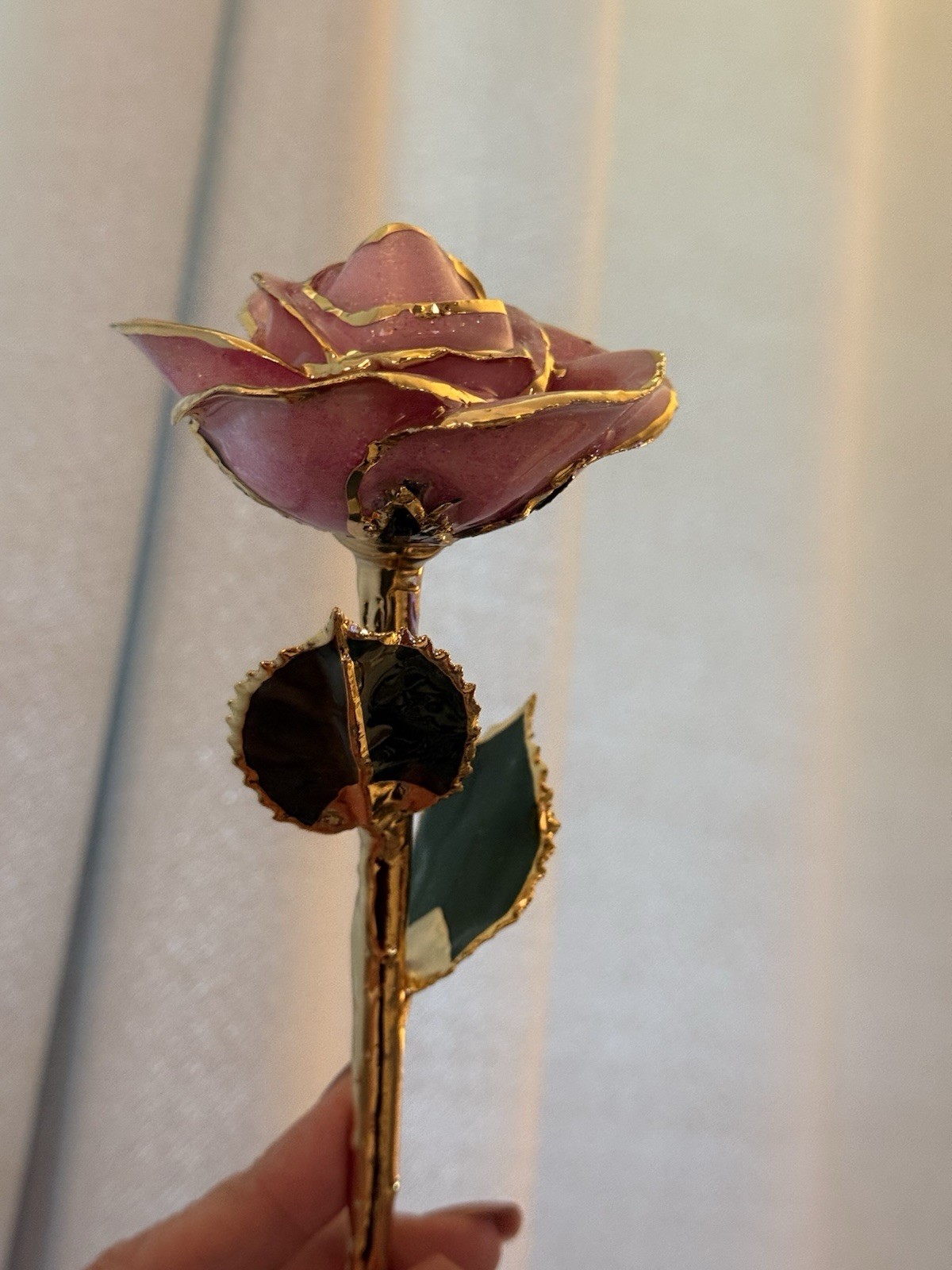 real rose dipped in 24k gold in Plum