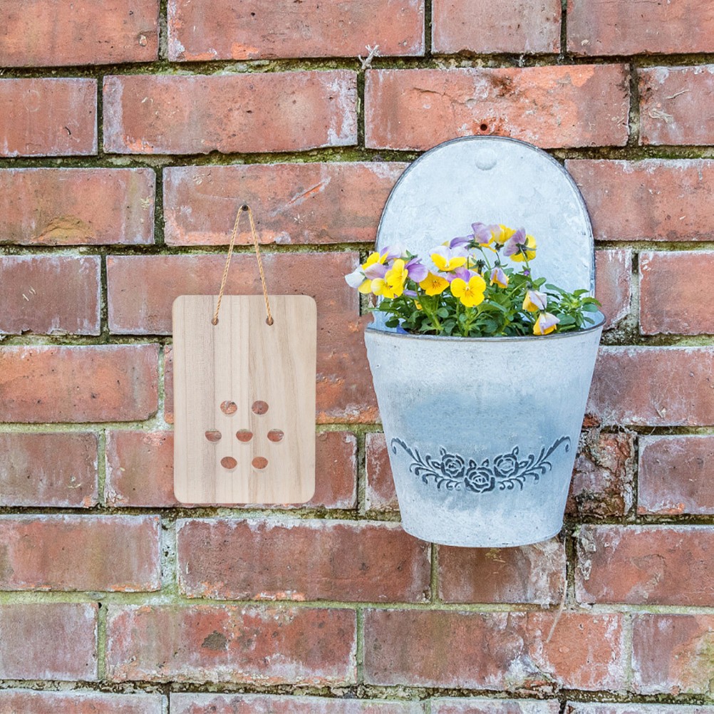Fern Mounting Board: Wooden Planter – Wall Display Decorative