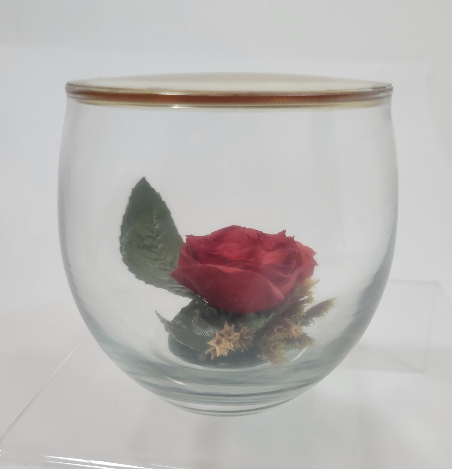 Valentine’s Day Preserved Roses Red Roses Preserved Flower Rose Gift in Glass