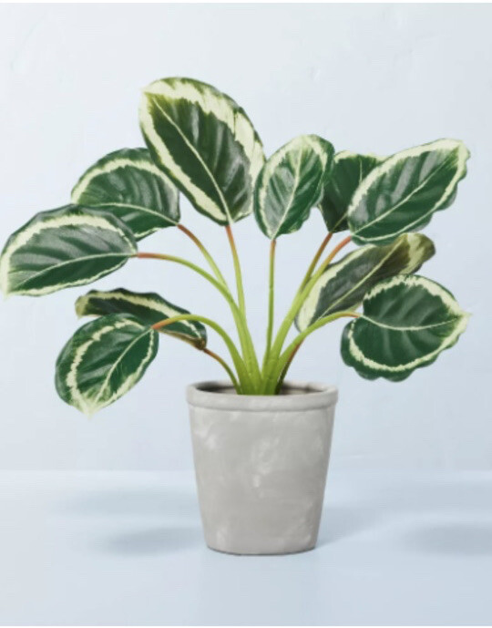 HEARTH & HAND WITH MAGNOLIA Faux Calathea Plant in Ceramic Pot, 14 in x 16 in