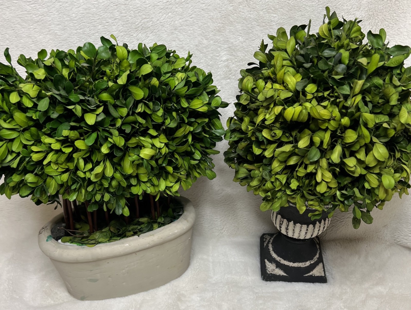 Bundle of Topiaries, Wreaths, and Picks for Decor