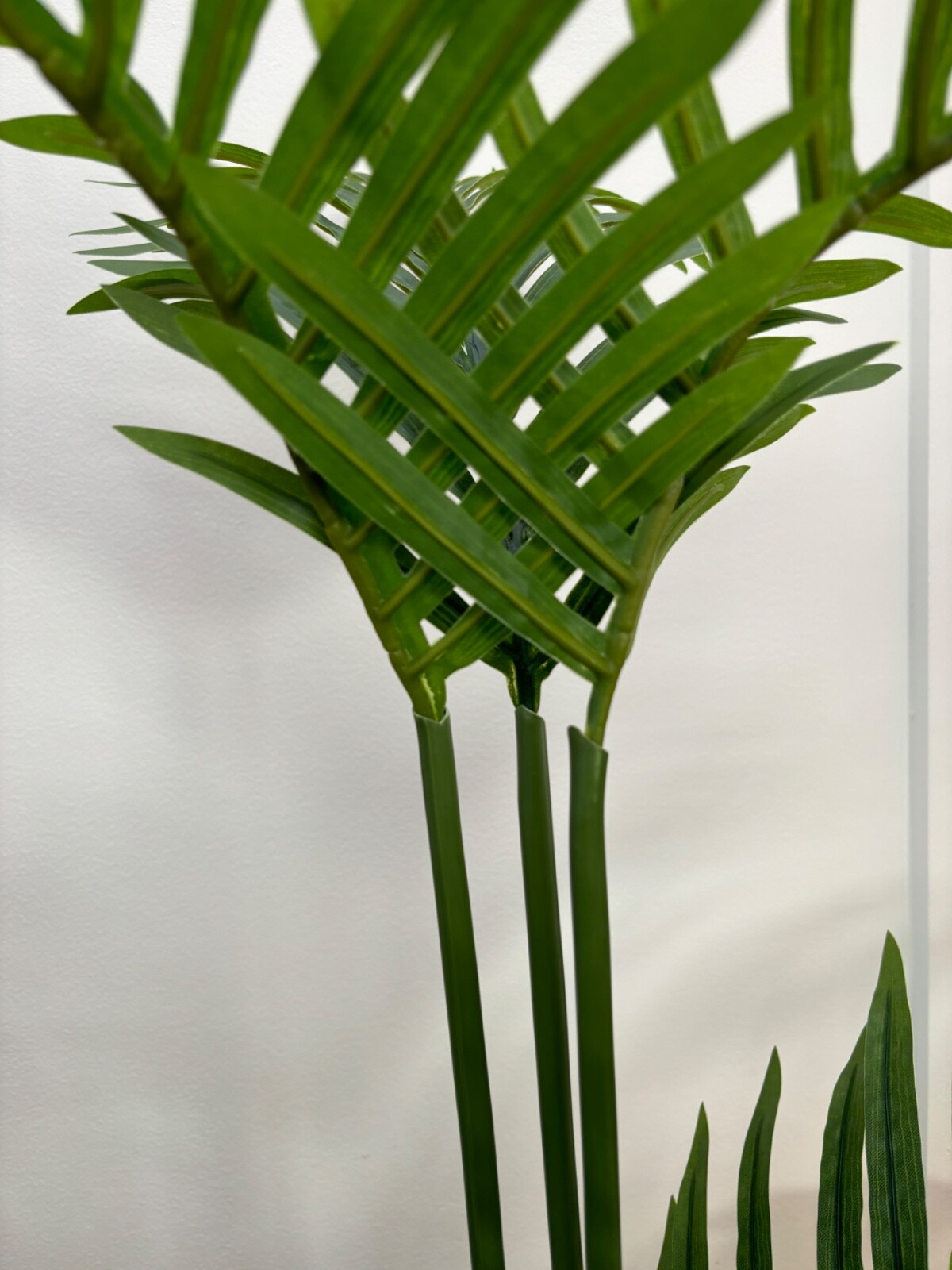 Wildwood & Cypress 52” Realistic Palm Tree Plant Variegated Foliage Indoor Faux