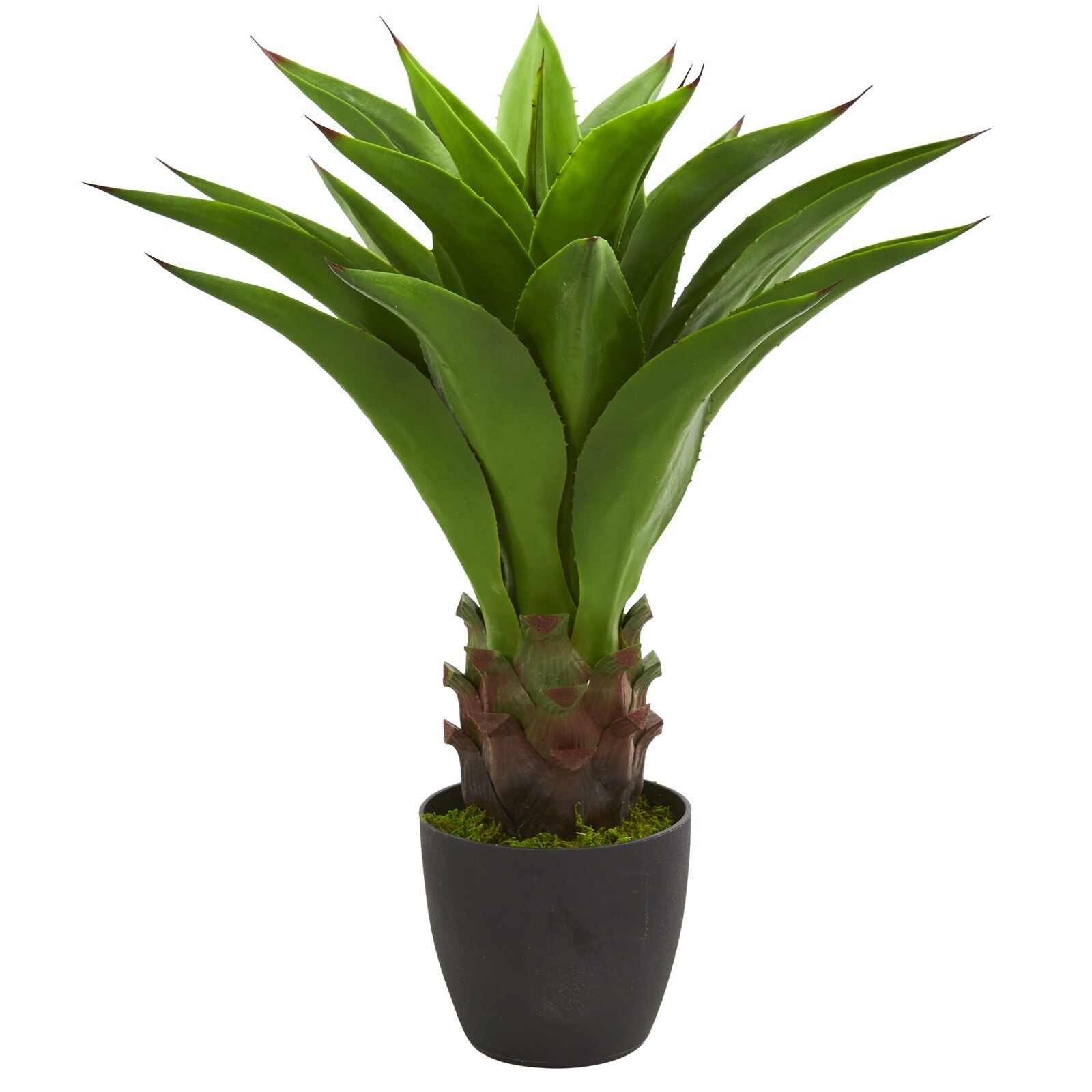 30″ Agave Succulent Artificial Plant Home Decor. Retail $129