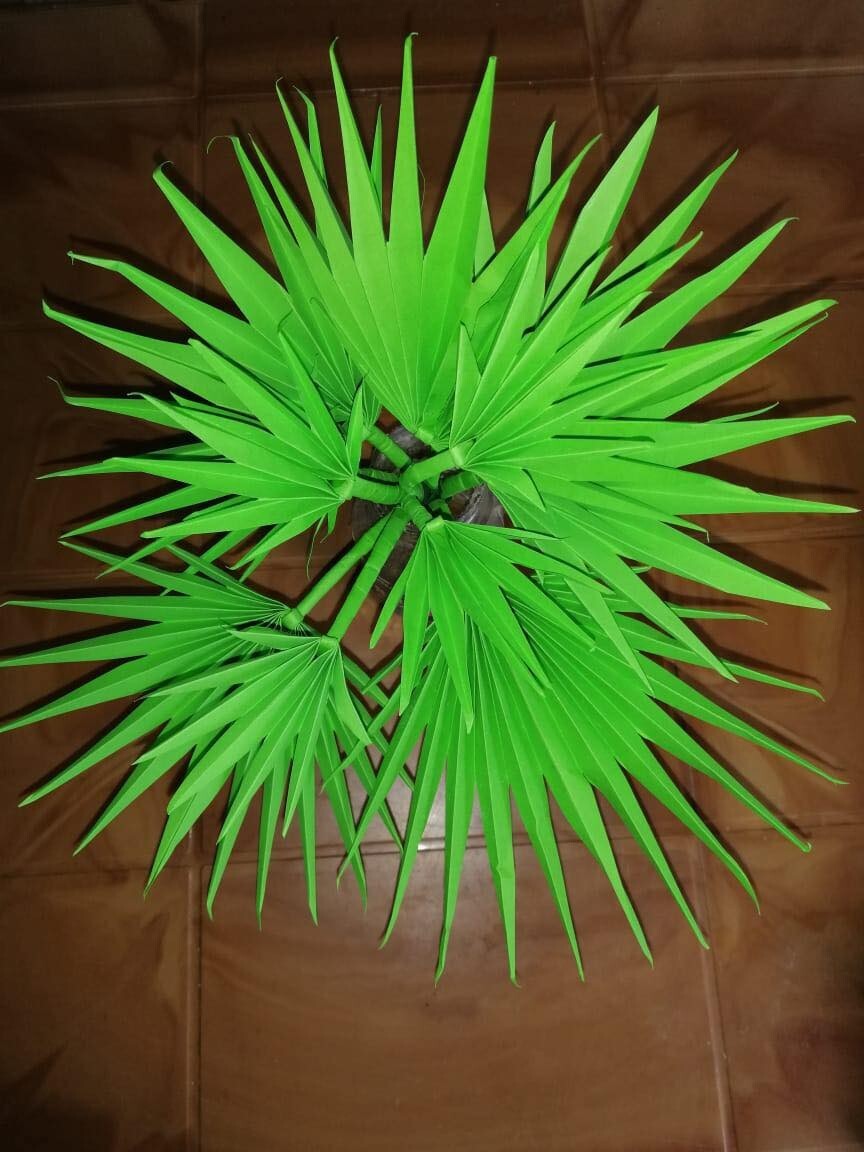 Paper flowers for Home decoration high quality free shipping