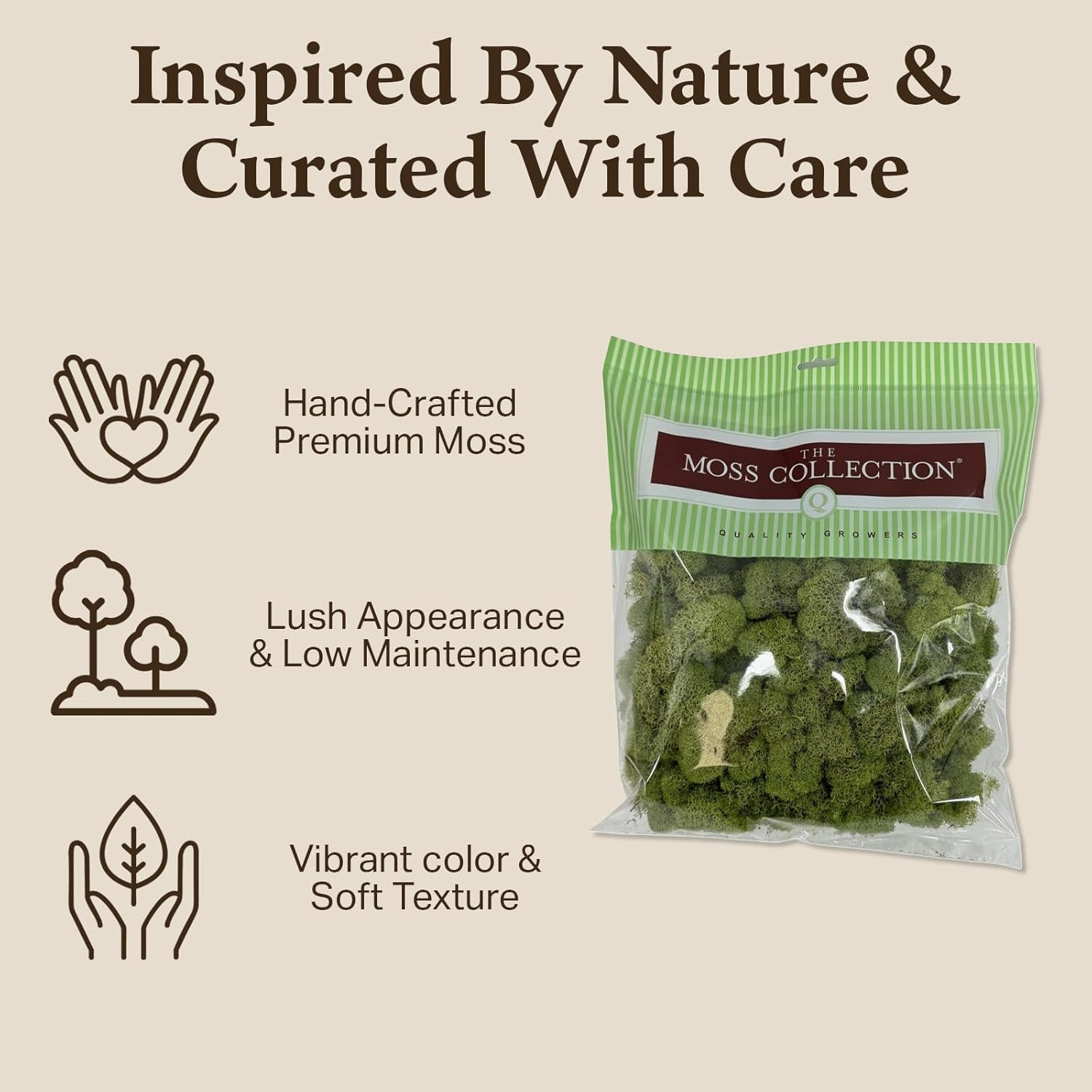 Preserved Reindeer Moss – Moss for Crafts, Home Decor, Art, Design & DIY Project