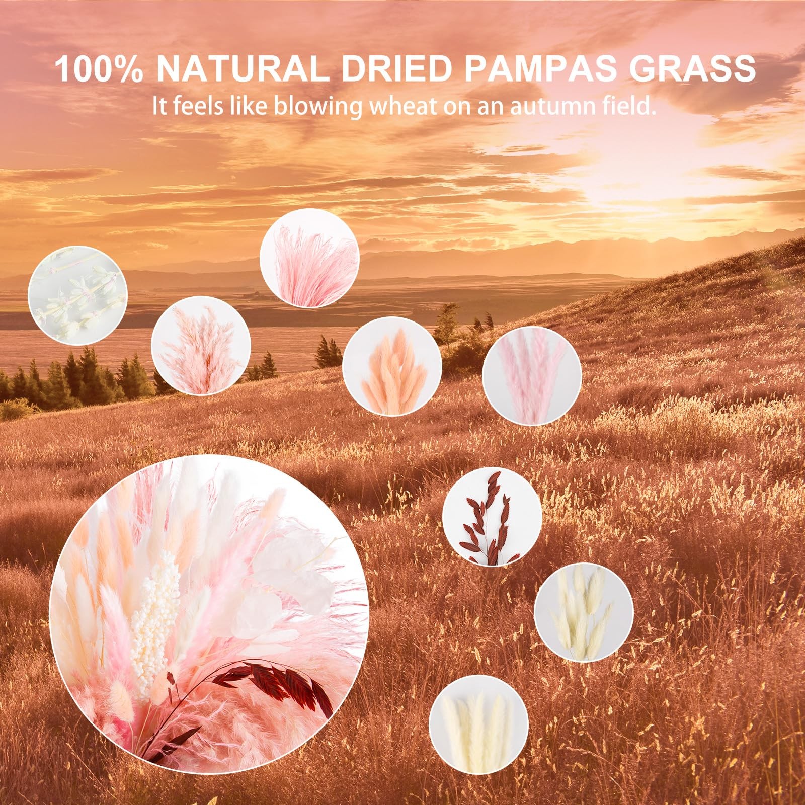 N&T NETING 85Pcs Pink Pampas Grass Decor, Natural Dried Floral Pampas Grass, …