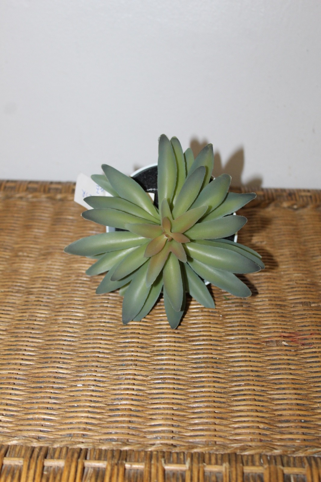 Williams Sonoma Artificial Potted Succulent (Rosette Style)
