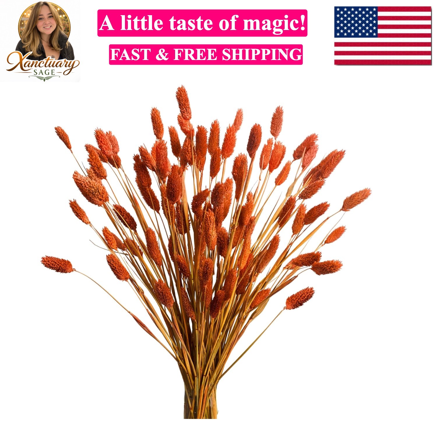 120Pcs Orange Pampas Grass Bunny Tails Dried Flowers, 17″ Dried Fall Flowers …