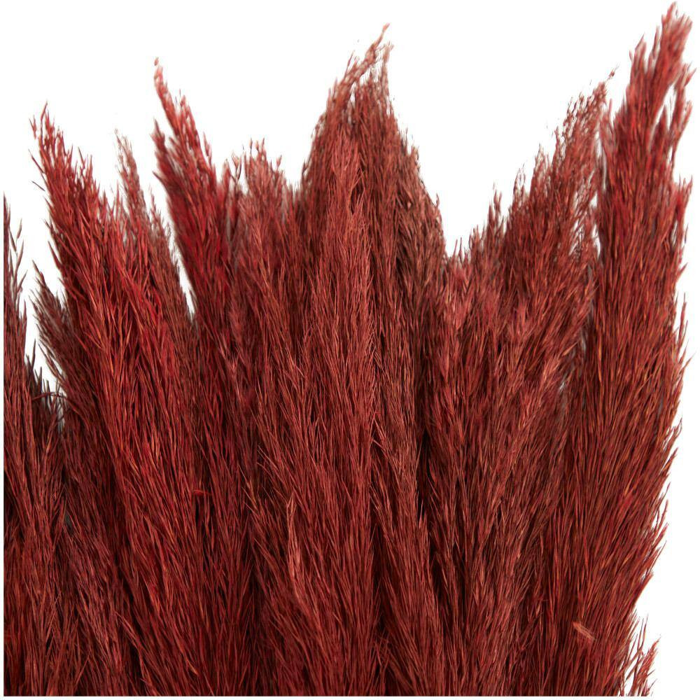 35 In. Pampas Natural Foliage with Long Stems (1 Bundle)