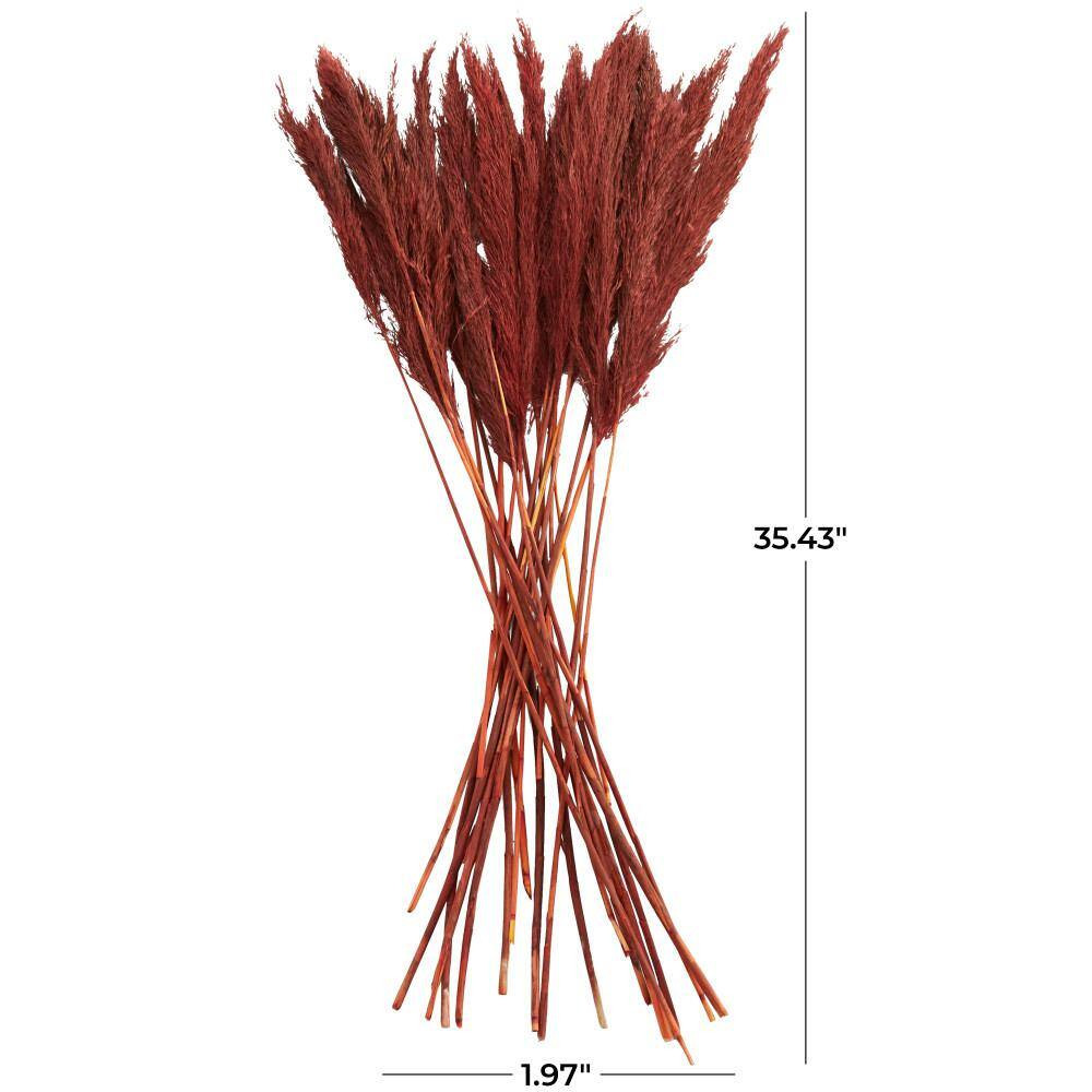 35 In. Pampas Natural Foliage with Long Stems (1 Bundle)