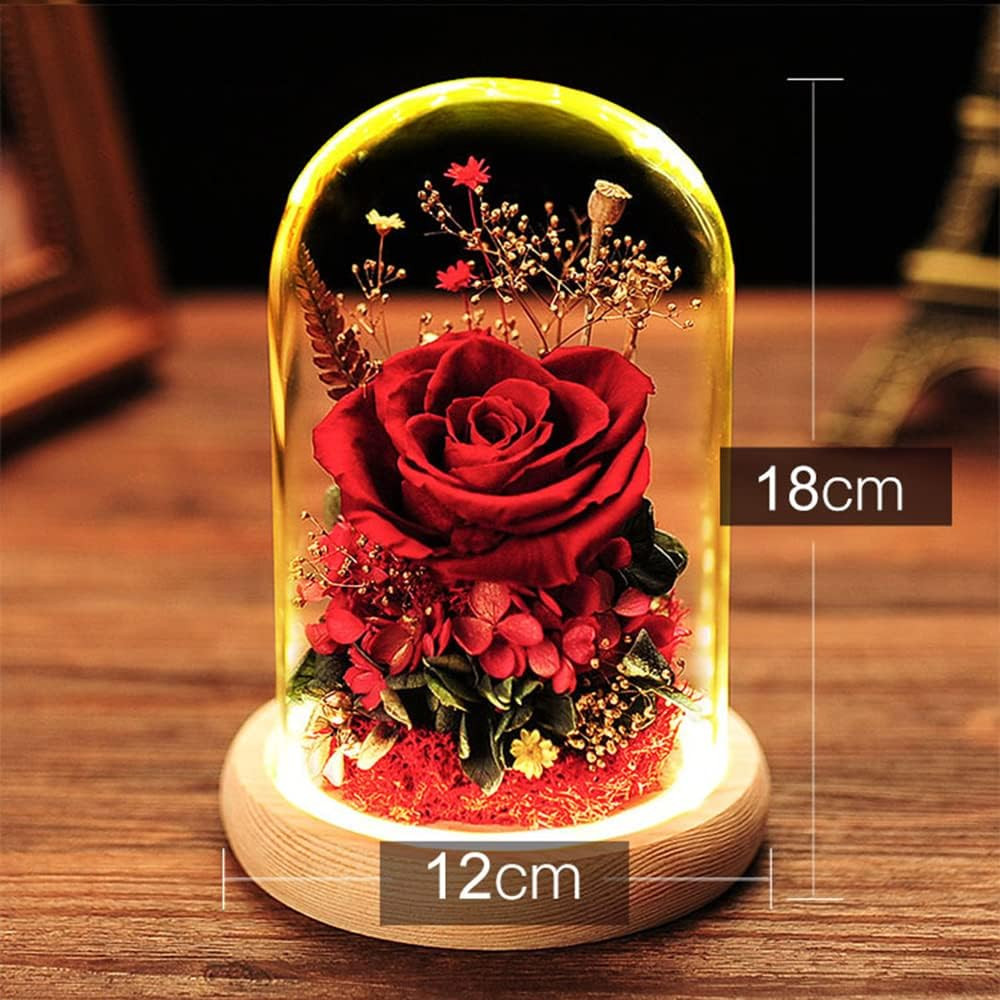 Eternal Rose Gift Set in Glass Dome – Red | Preserved Rose with LED Light | Vale