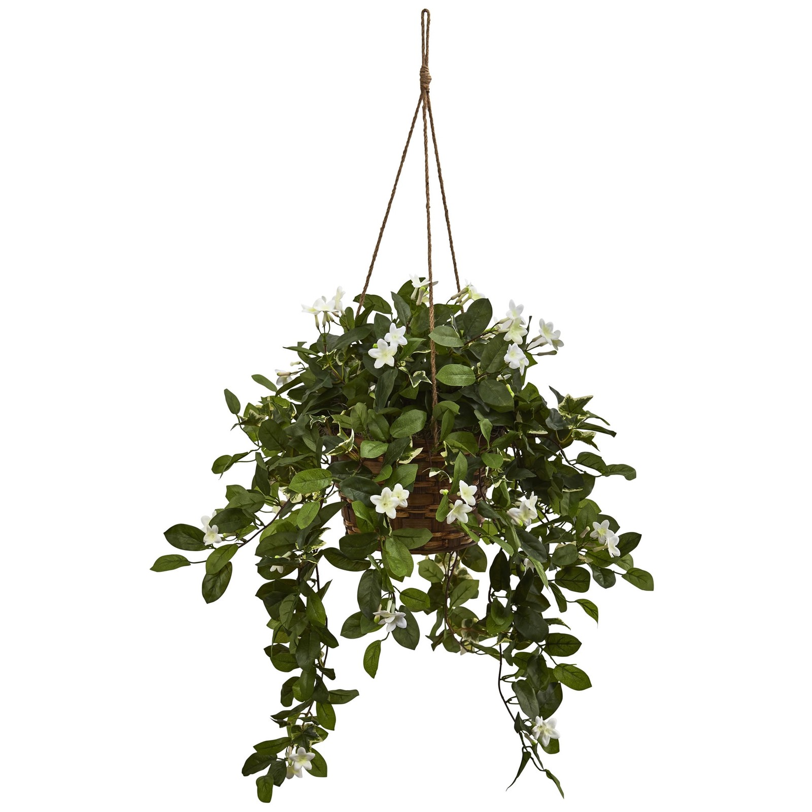 16 Inch Mixed Stephanotis Hanging Basket White Flowers Evergreen Leaves