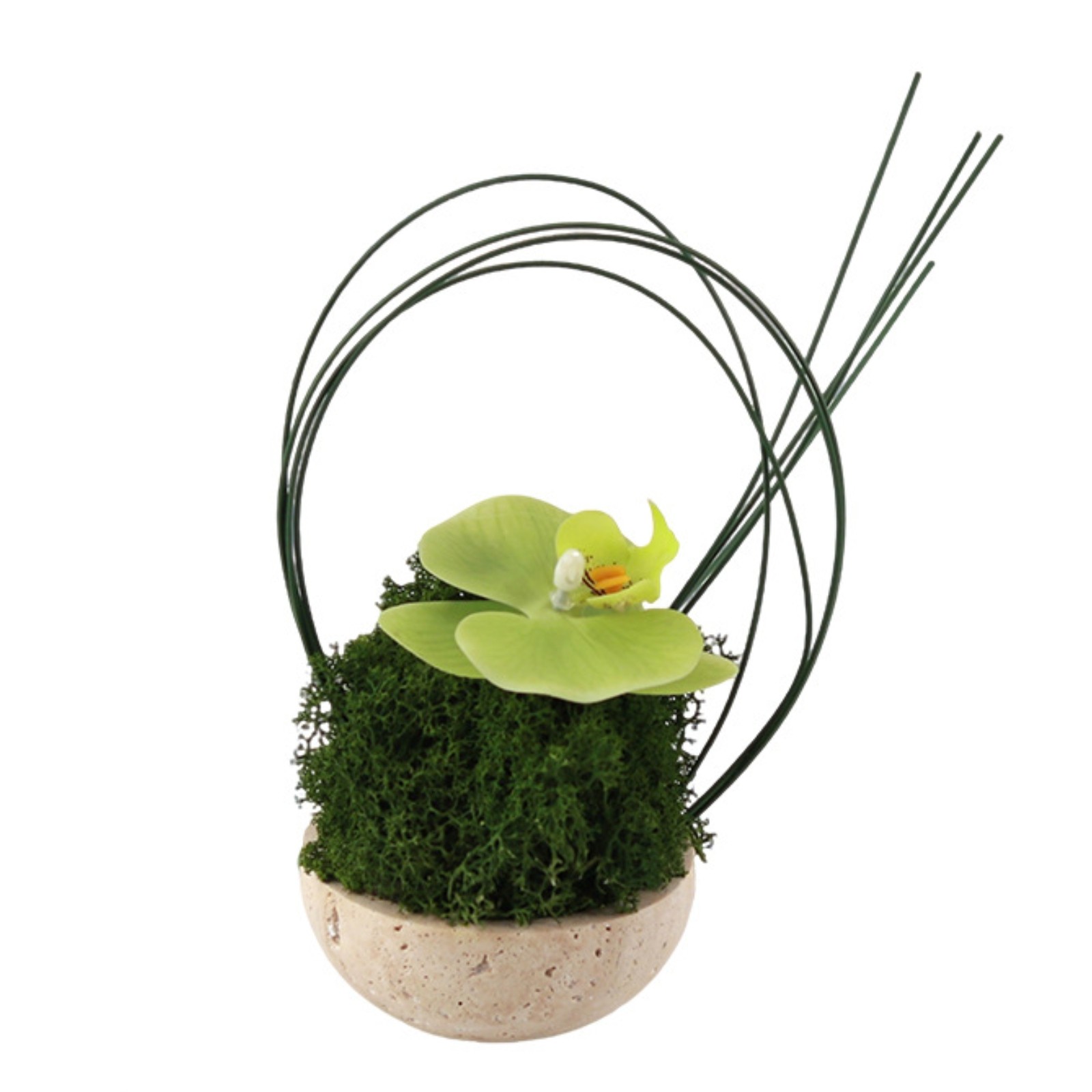 Artificial Orchid in Planter Sculptural Orchid with Ceramic Pot Modern for Desk