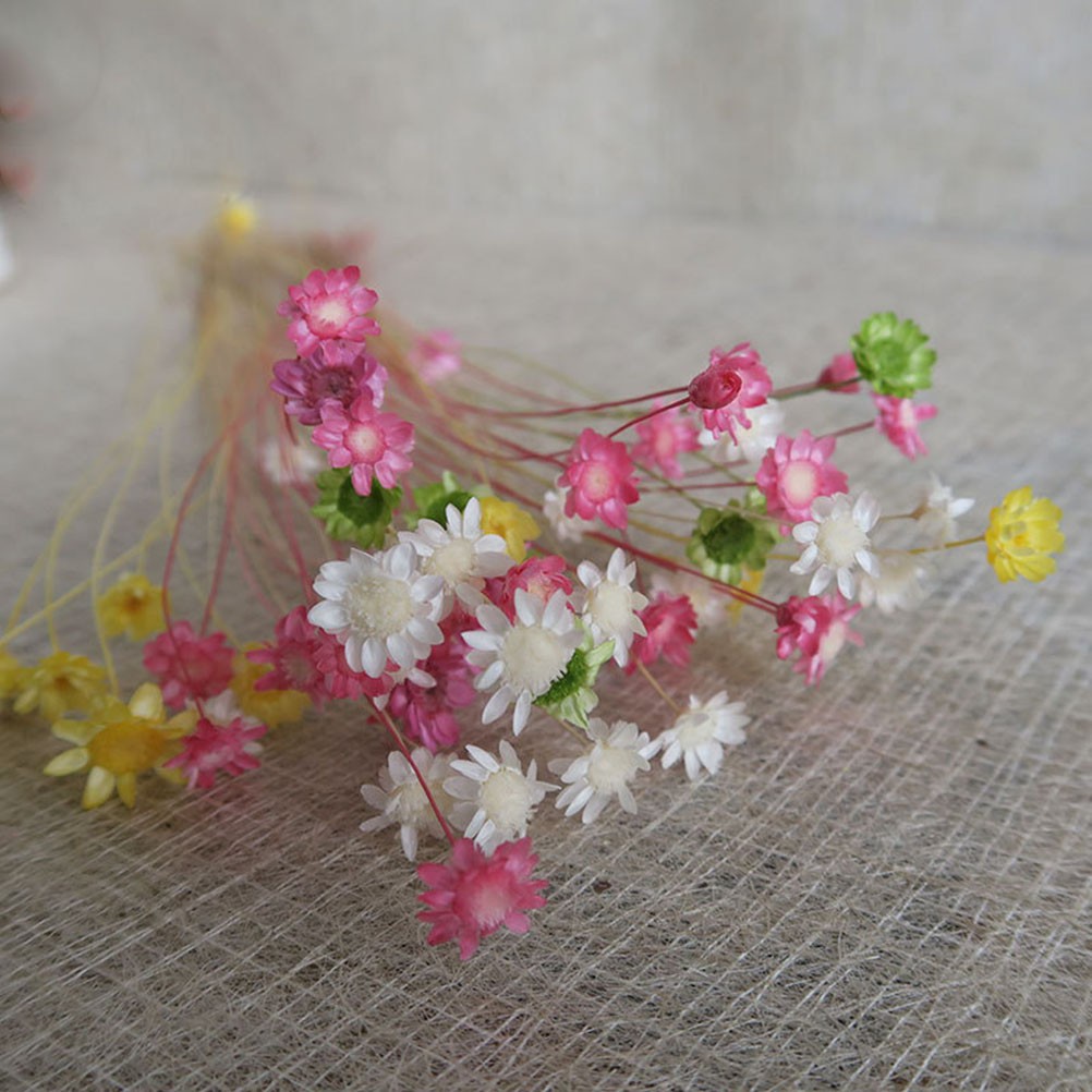 100Pcs Handmade Small Star Flower Dried Flowers Mini Daisy Yellow Floral Display