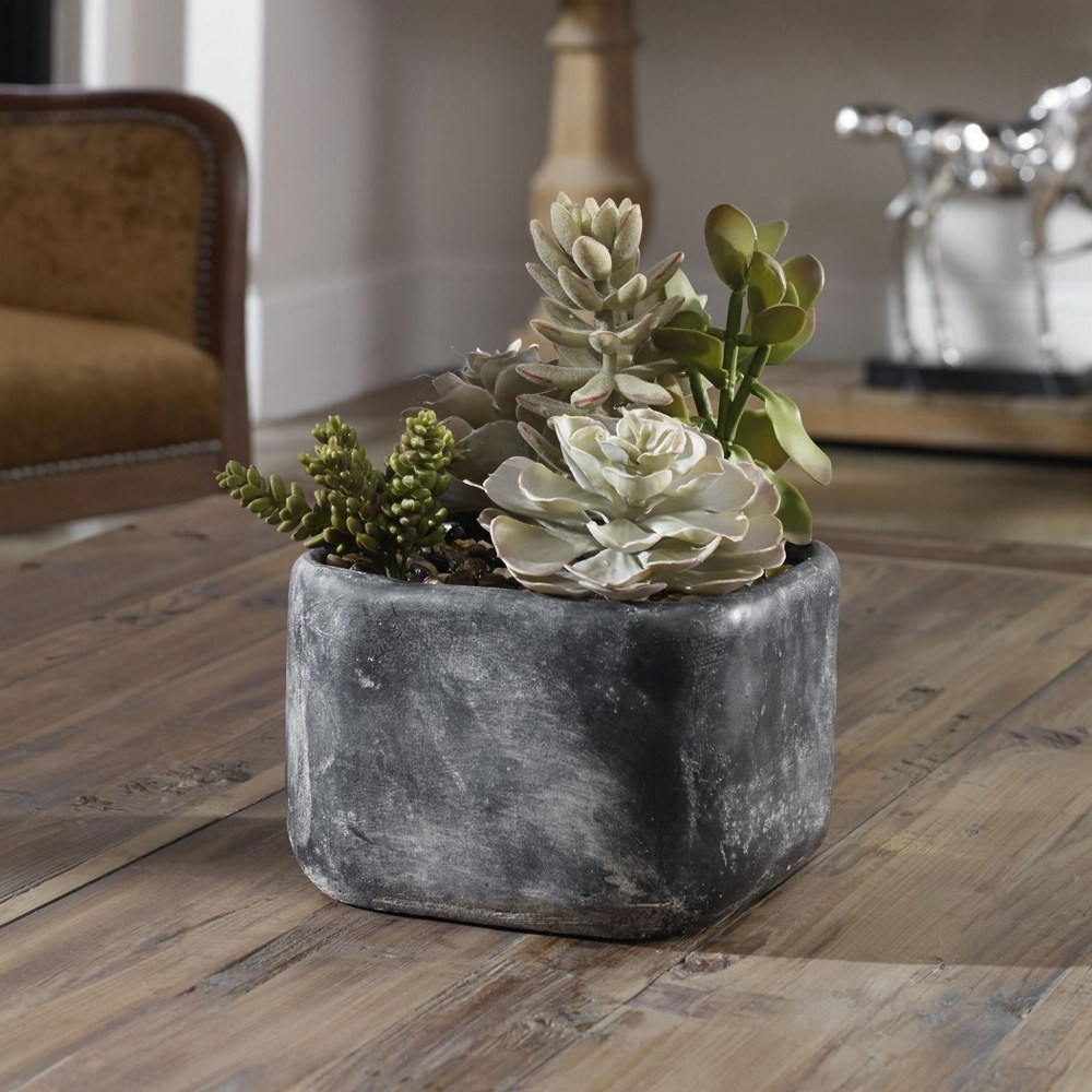 Alverio – 10 inch Desert Garden Succulents Accessories Uttermost 60173