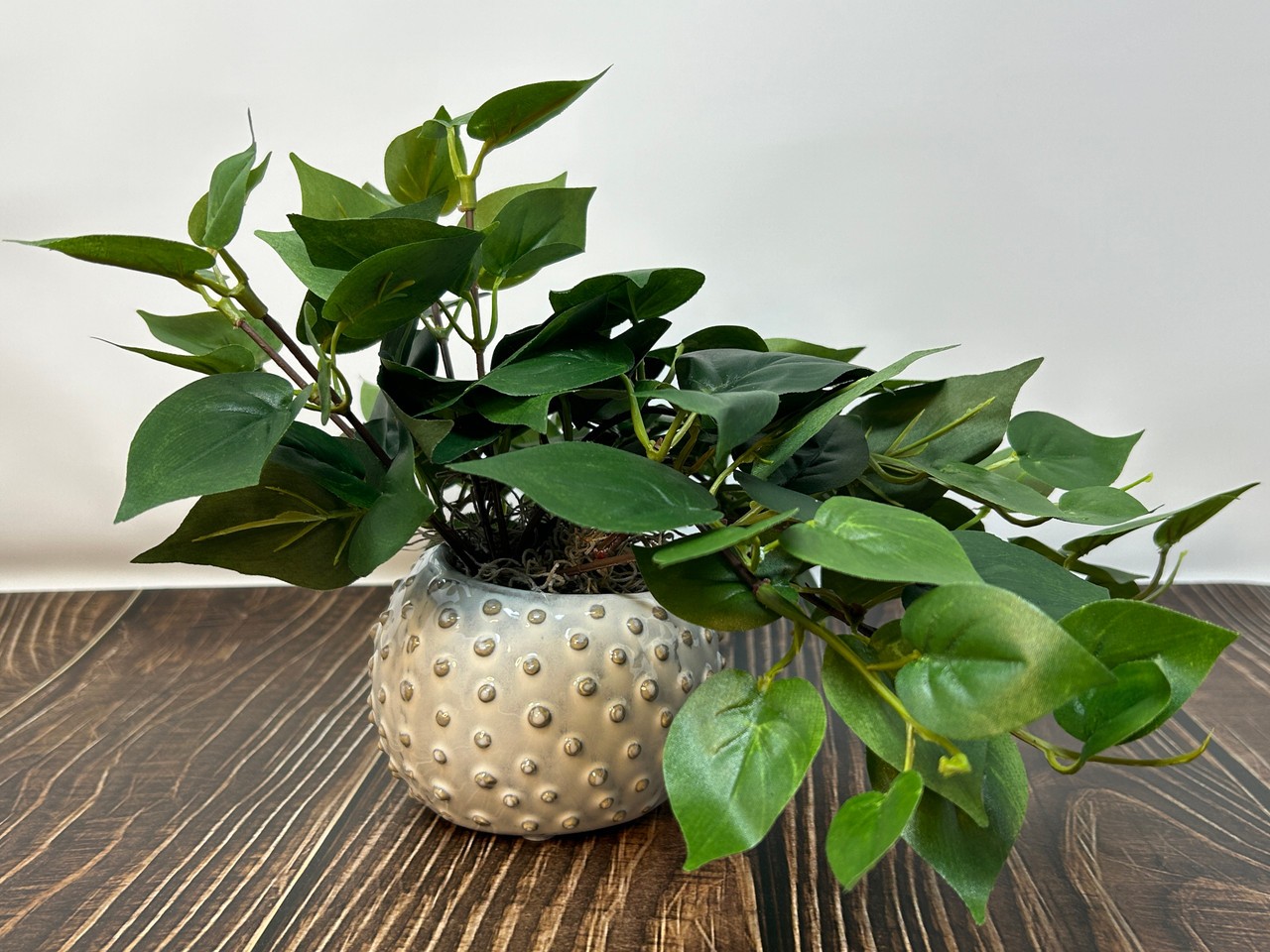 8″ Potted faux GREEN POTHOS Vine Silk plant, Cream Dot Ceramic pot