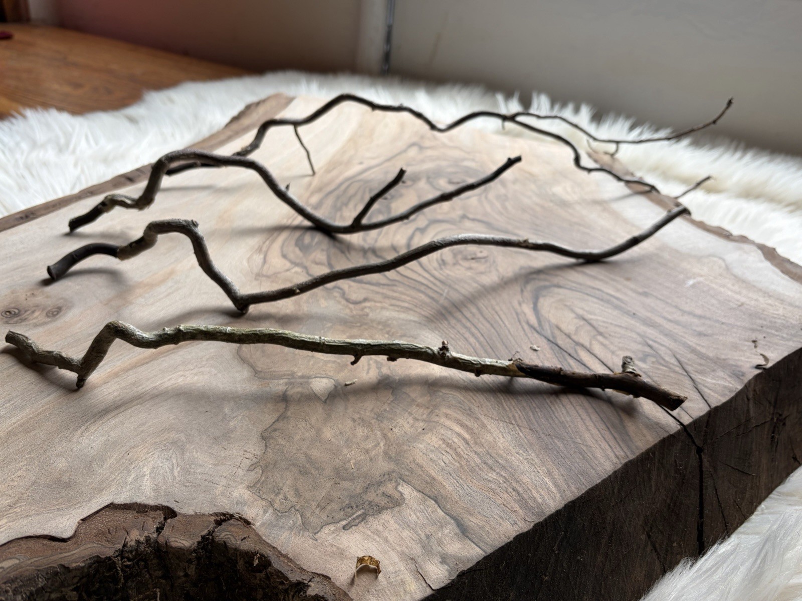 Dried Corkscrew Willow Branches for Home Decor