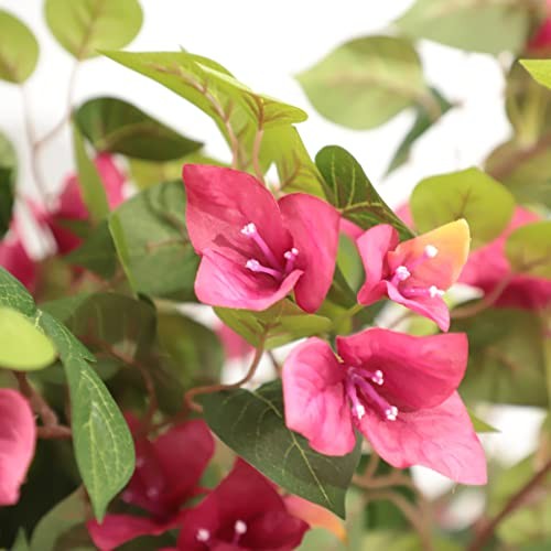 5 Feet Artificial Bougainvillea Tree with Flowers in Plastic Pot Faux 5ft 3in
