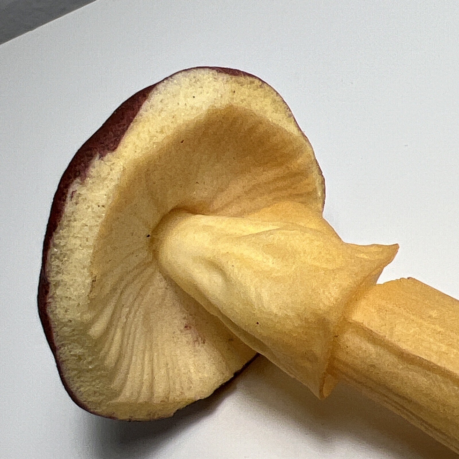 Vintage Red Rubber Foam Realistic Mushroom Decoration Fairy Garden Wire Stem 5″
