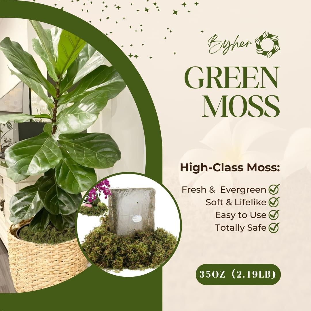 Large Capacity 2.2LB Fake Moss for Indoor Plants & Crafts – Fresh Green Decor