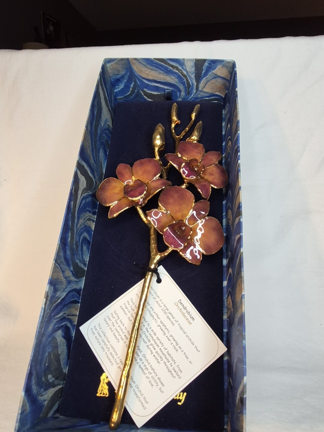 The Rose Lady 24Kt Gold Dipped Long Stem REAL Dendrobium Orchid NIB