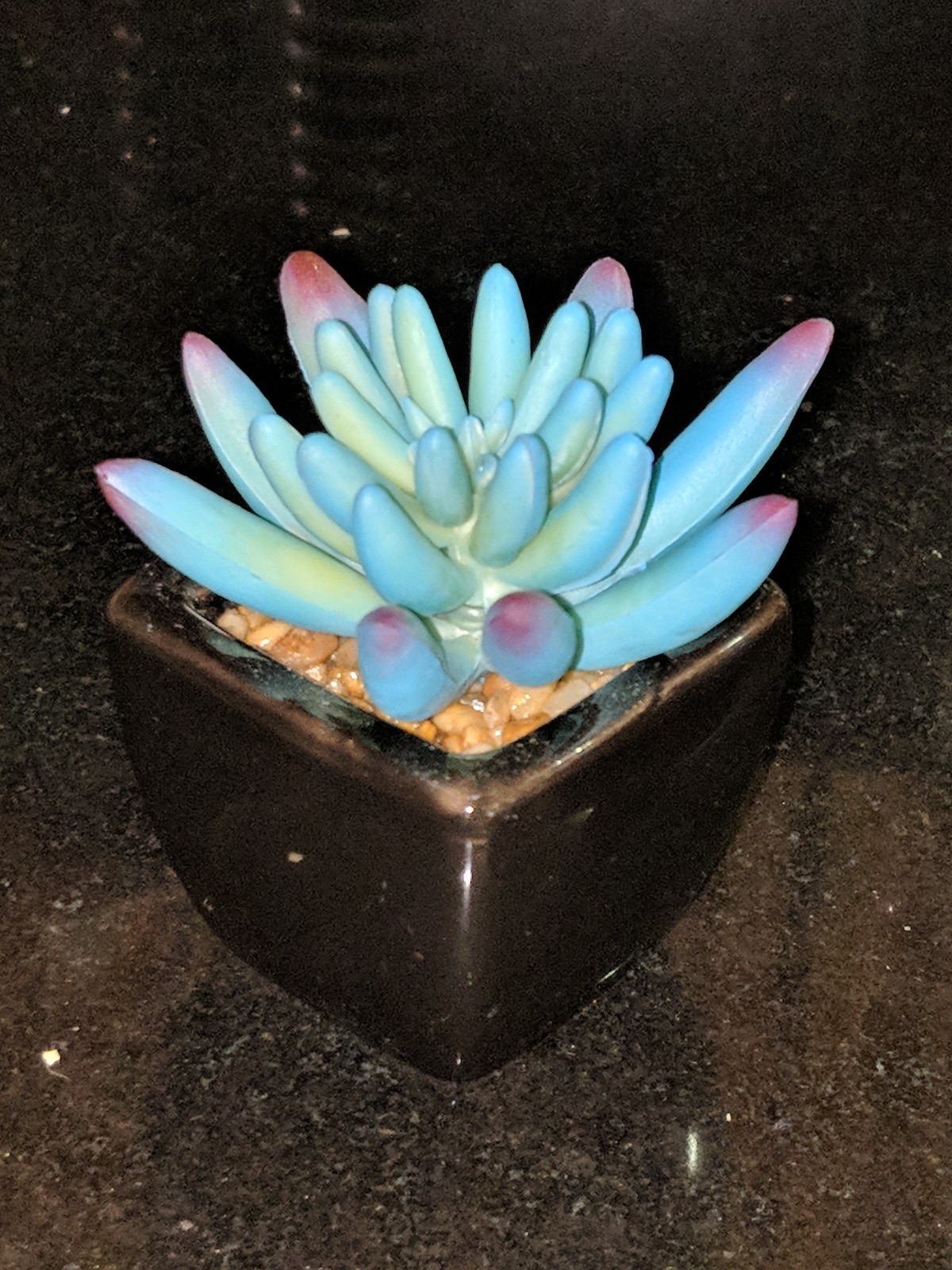 Small Artificial Succulents Black Ceramic Pots 4 PCS